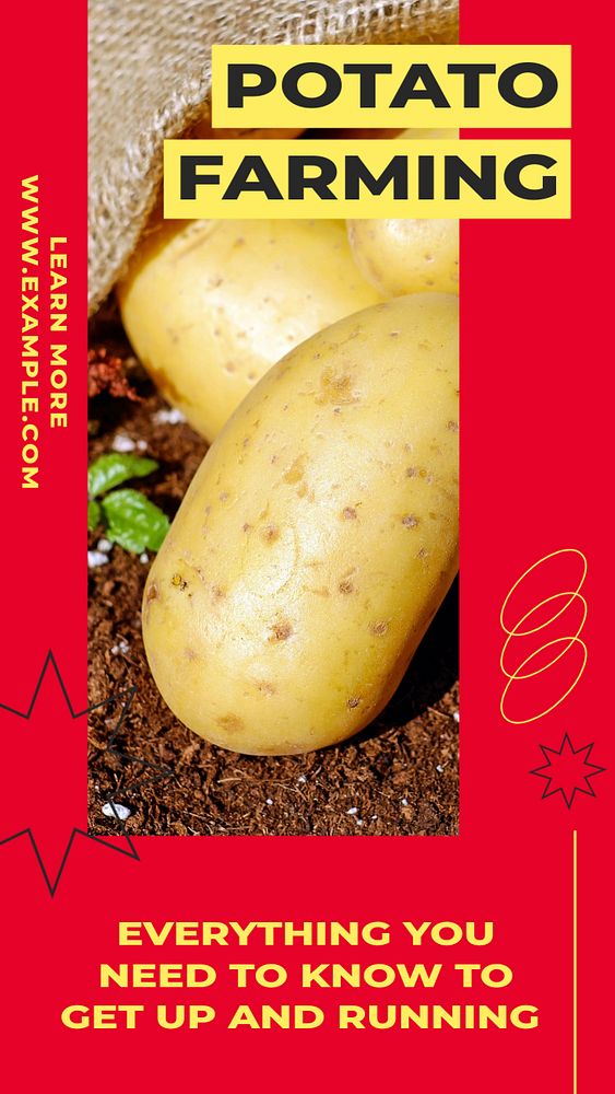 Potato farming story template, editable social media design