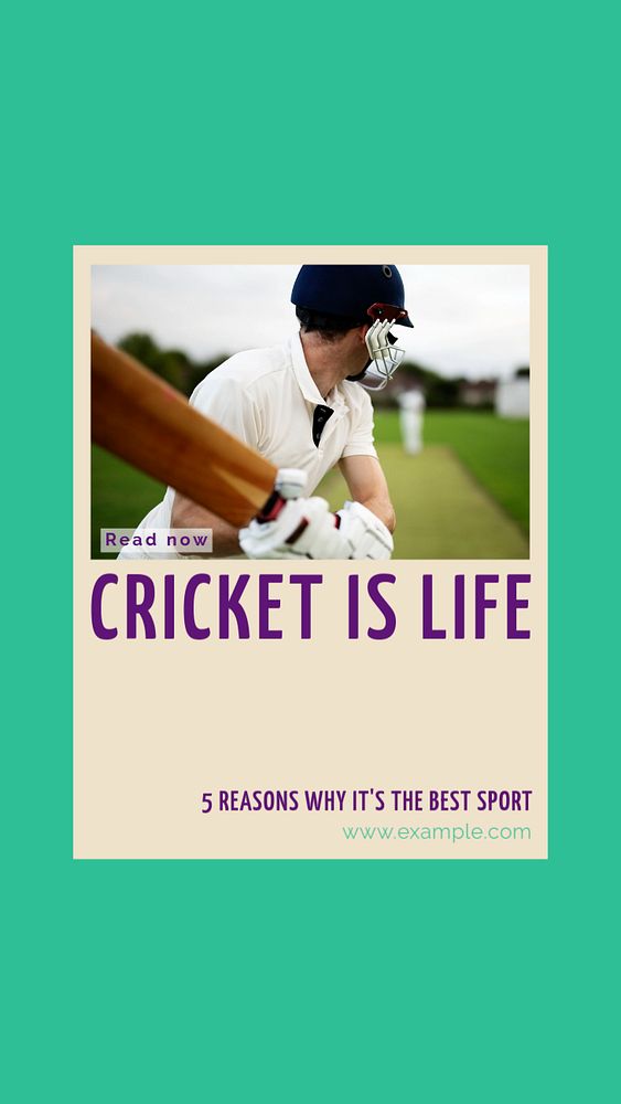 Cricket story template, editable social media design