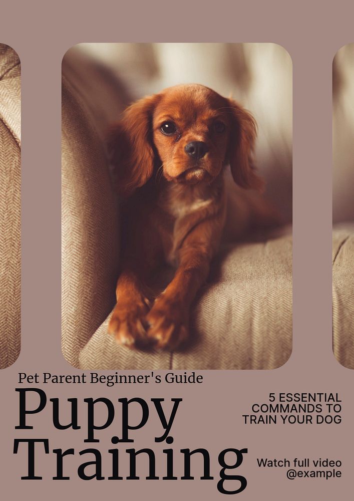 Dog training editable poster template