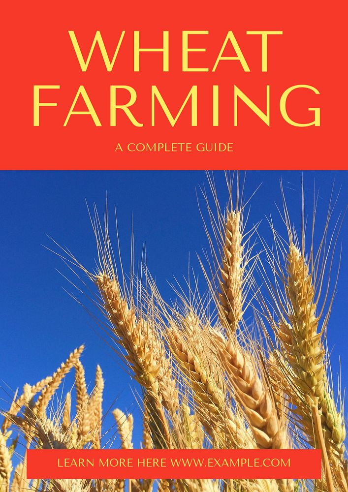 Wheat farming editable poster template