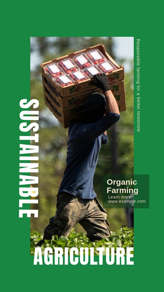 Sustainable agriculture story template, editable social media design