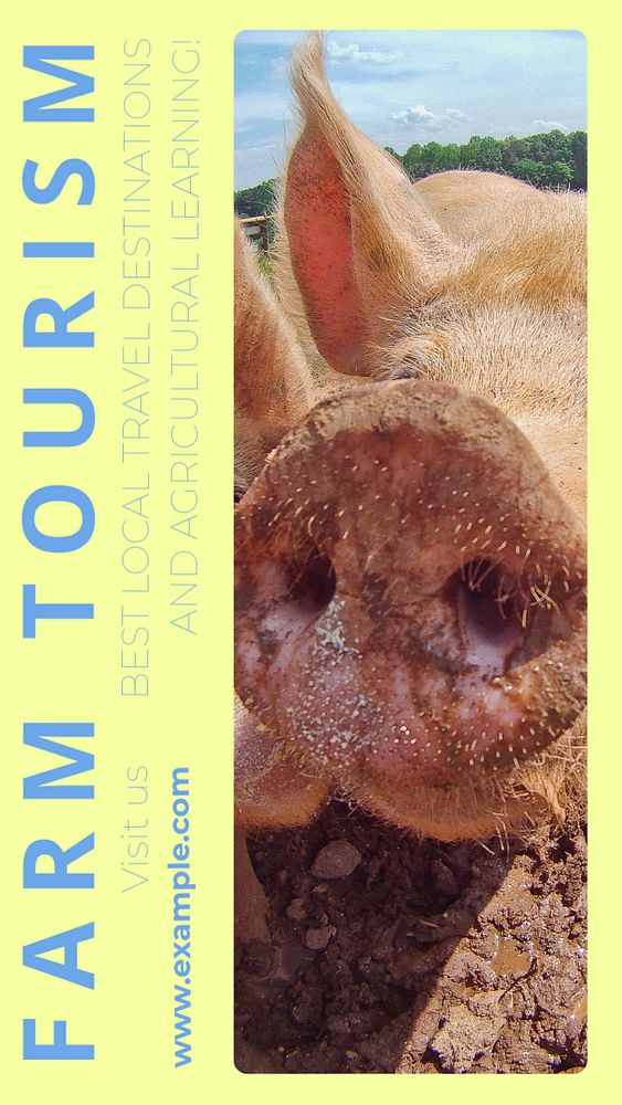 Farm tourism story template, editable social media design