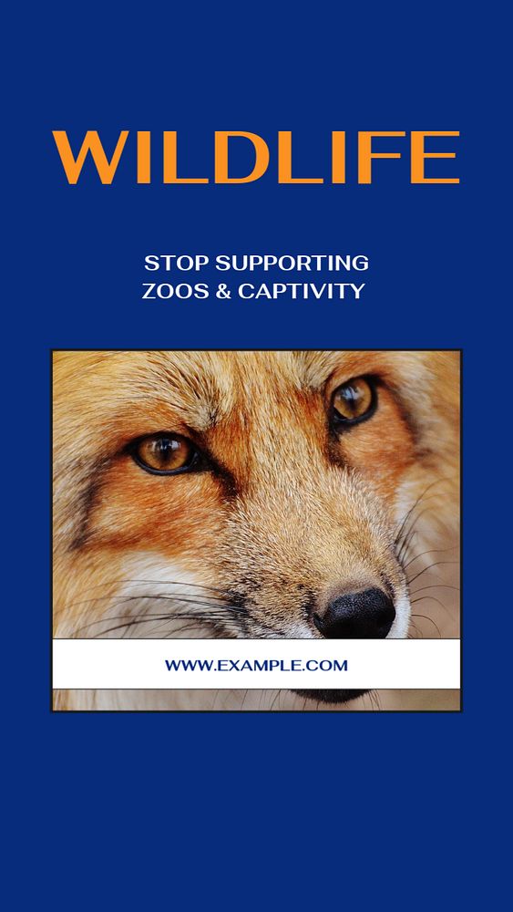 Stop wildlife captivity story template, editable social media design