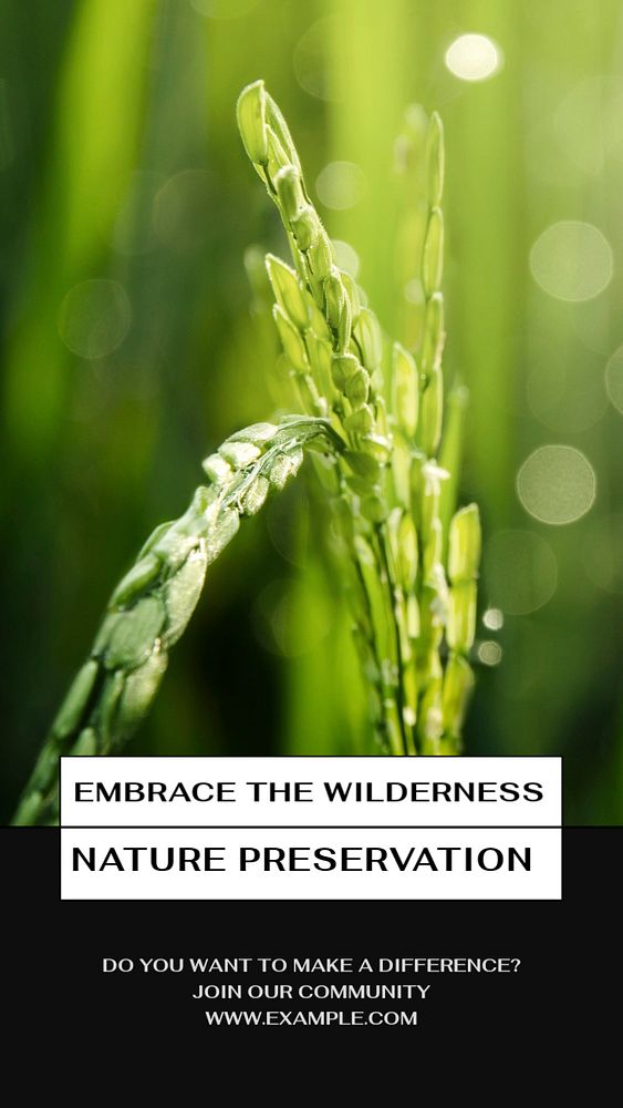 Embrace the wilderness story template, editable social media design