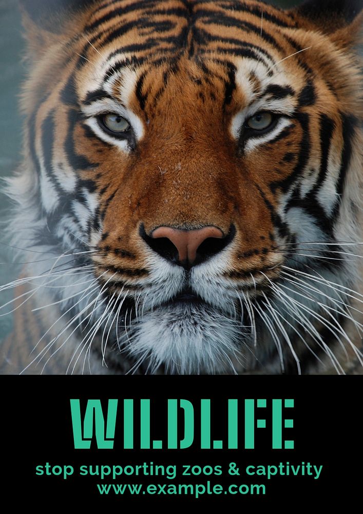 Stop wildlife captivity  poster template, editable text and design