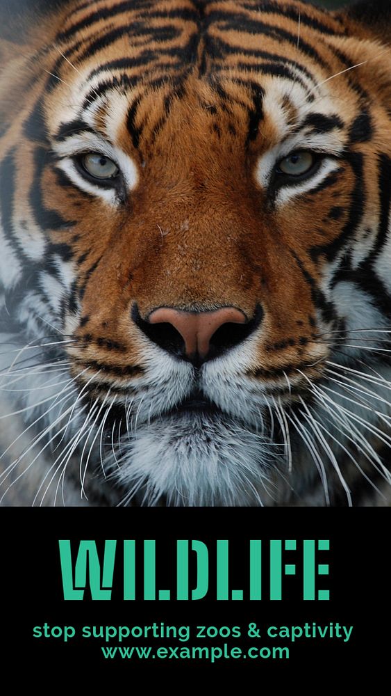 Stop wildlife captivity  Instagram story template, editable text