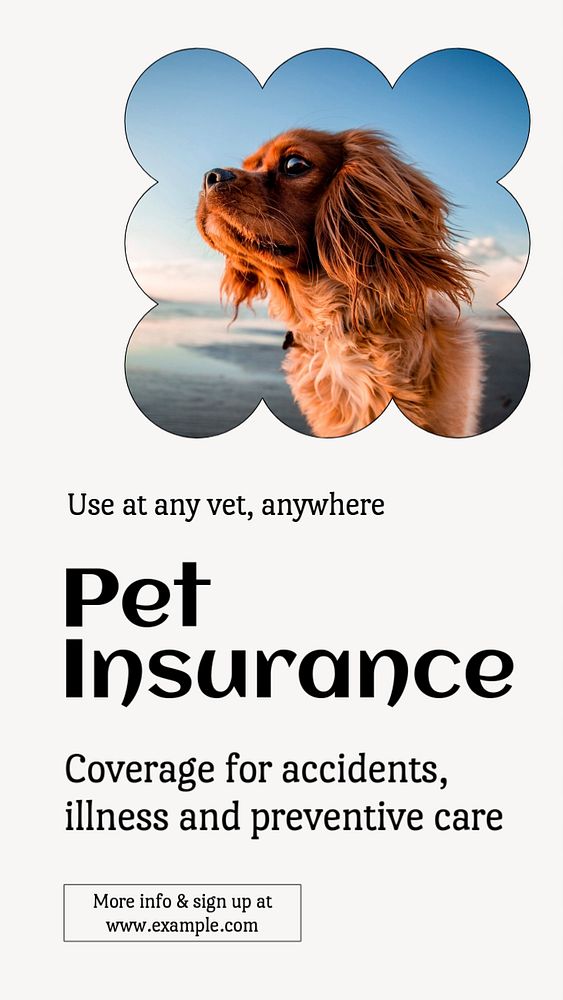 Pet insurance  Instagram story template, editable text