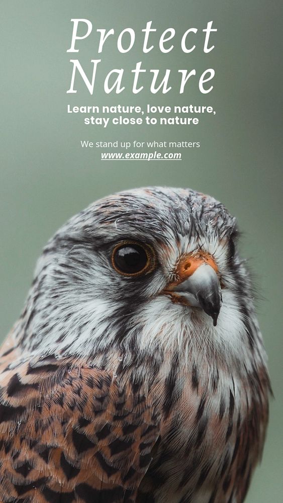 Protect nature Instagram story template, editable text