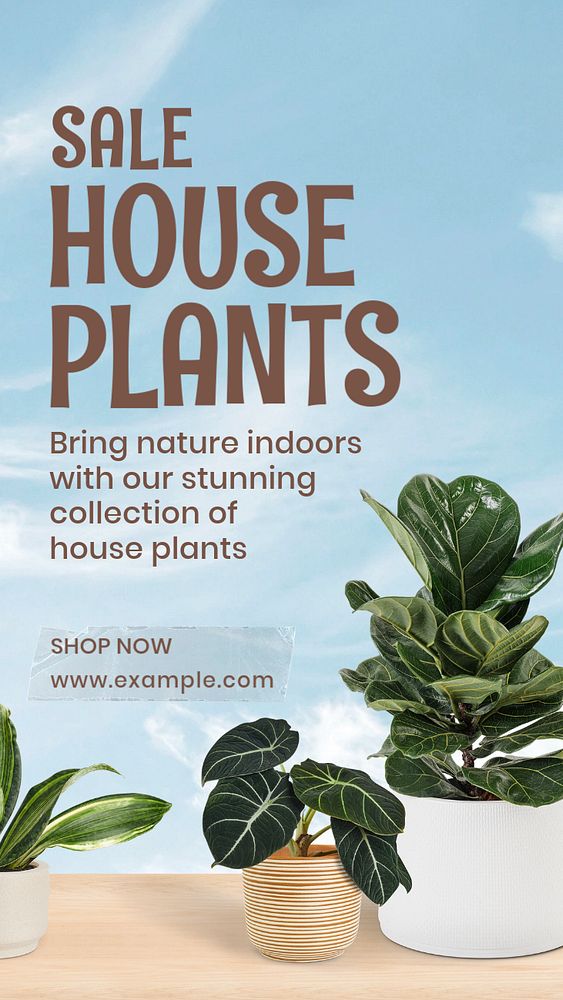 House plants  Instagram story template, editable text