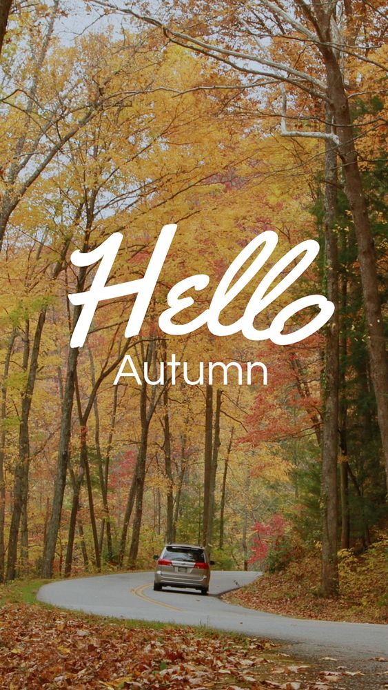 Hello autumn  Instagram story template, editable text