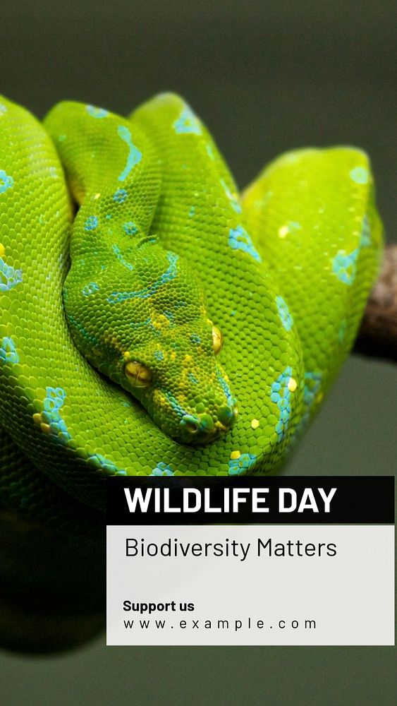 Wildlife day  Instagram story template, editable text