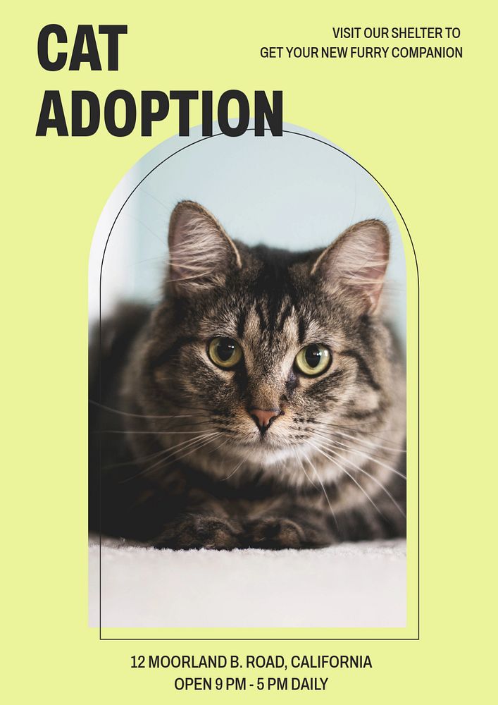 Cat adoption poster template, editable text and design