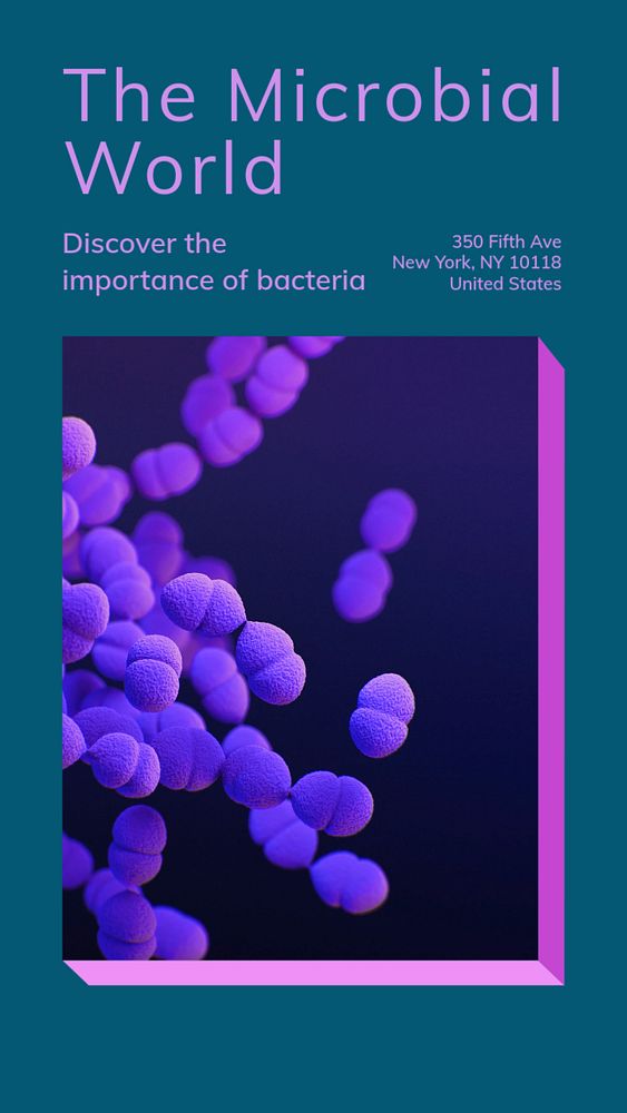 Bacteria medical disease  Instagram story template, editable text