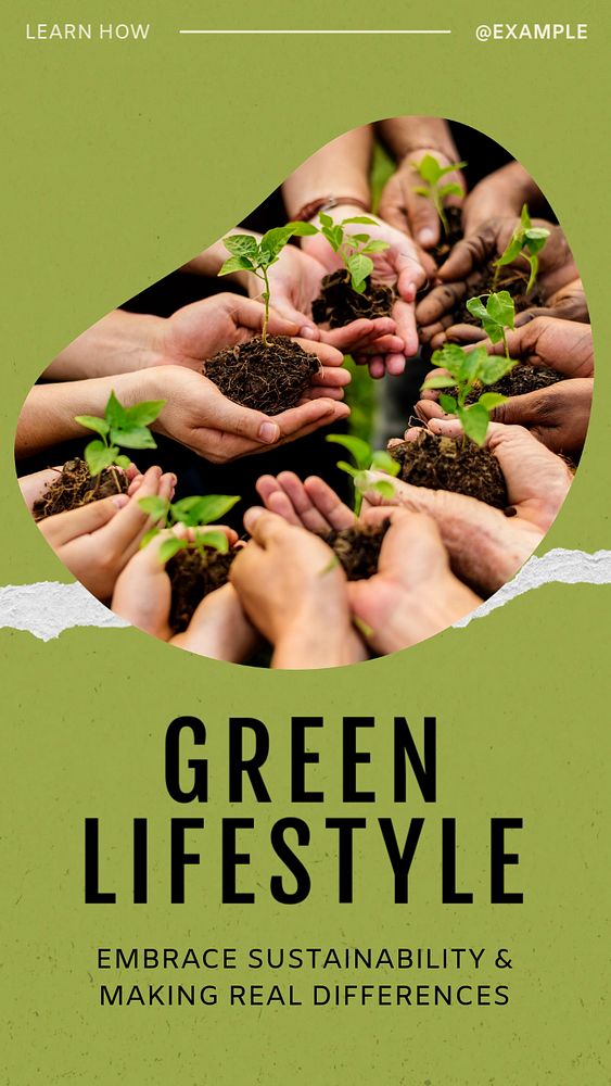 Green lifestyle Instagram story template, editable text