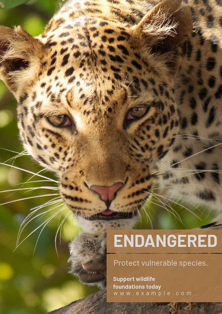 Endangered species  poster template, editable text and design