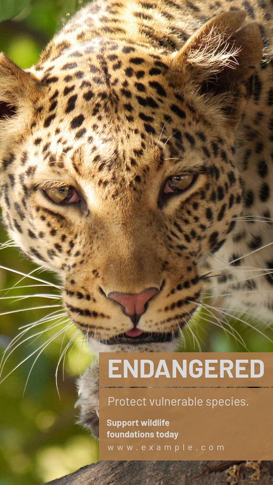 Endangered species  Instagram story template, editable text