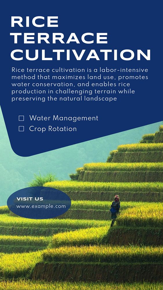 Rice terrace Instagram story template, editable text