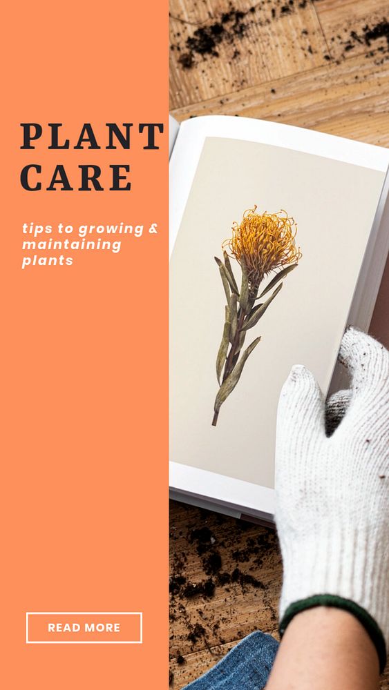 Plant care  Instagram story template, editable text