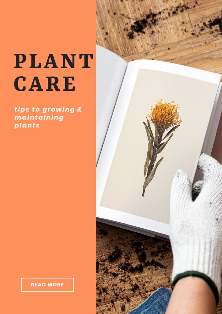 Plant care  poster template, editable text & design