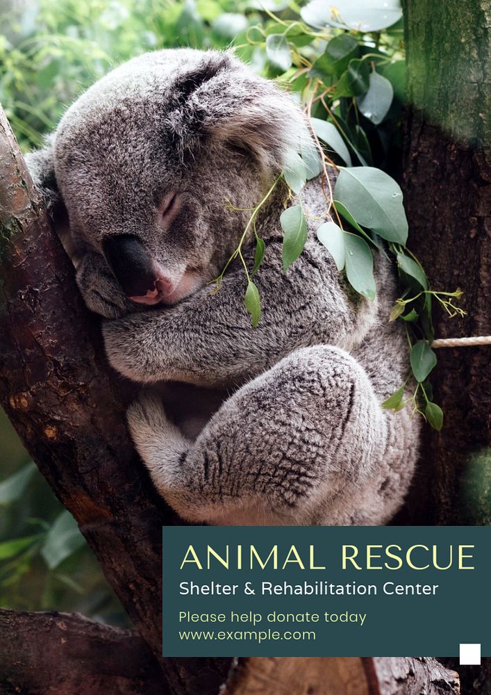 Animal rescue poster template, editable text & design