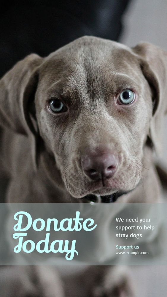 Animal donation  Instagram story template, editable text