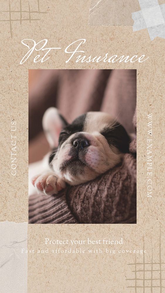 Pet insurance  Instagram story template, editable text