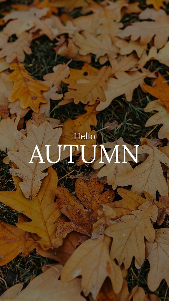 Hello autumn Instagram story template, editable text