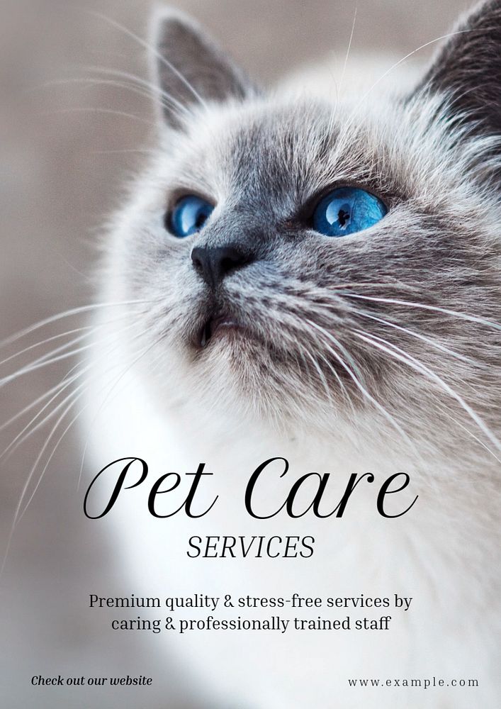 Pet care poster template, editable text and design