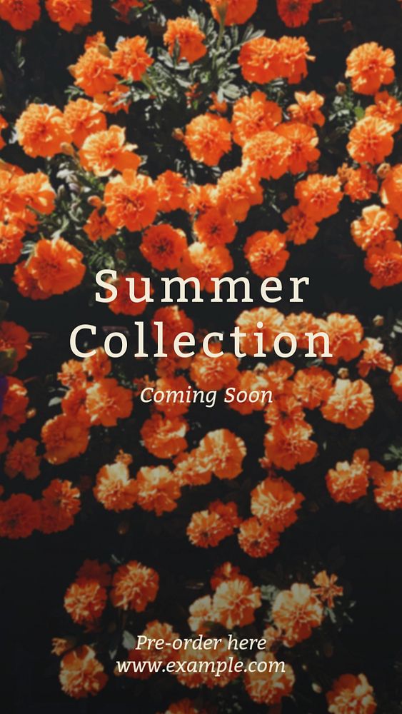 Summer collection Instagram story template, editable text