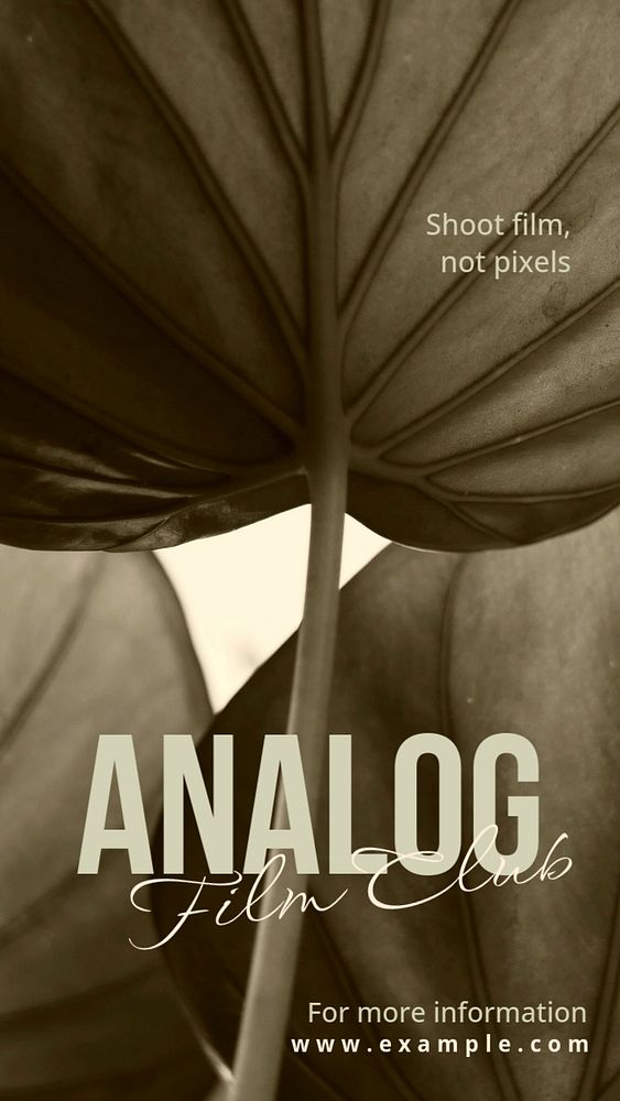 Analog film club Instagram story template, editable text