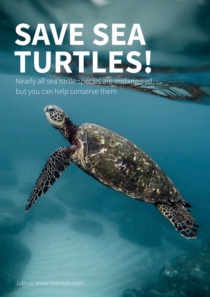 Save sea turtles poster template, editable text and design