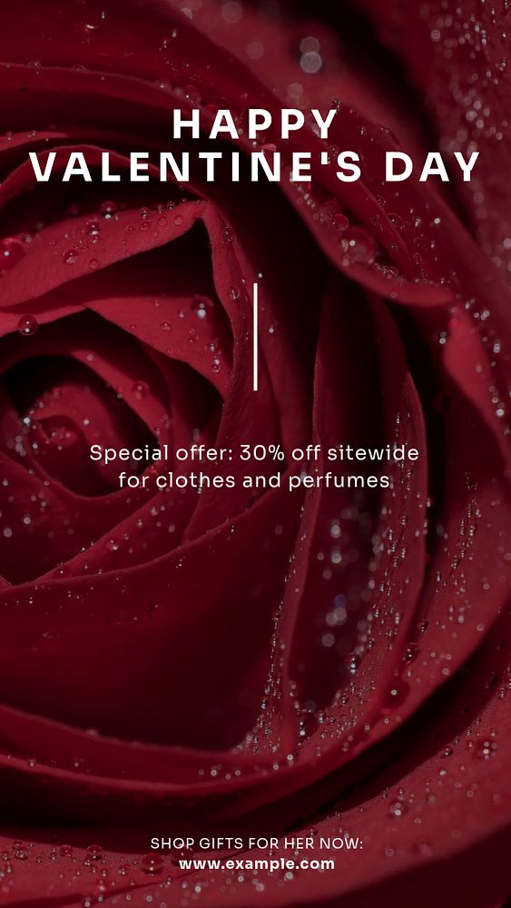 Valentine's day sale  Instagram story template, editable text