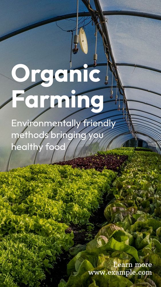 Organic farming  Instagram story template, editable text