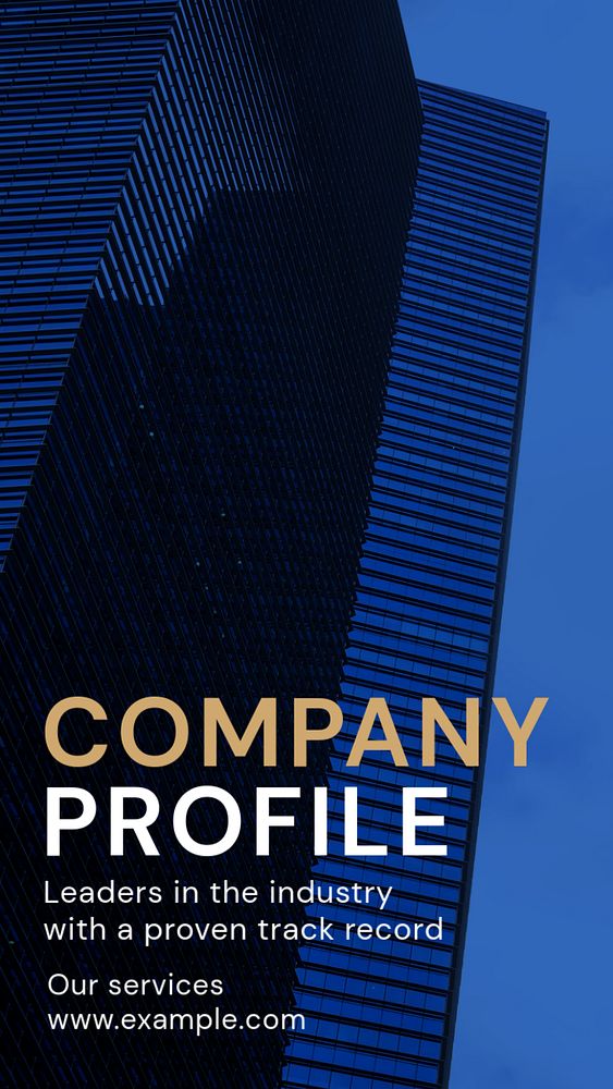 Company profile  Instagram story template, editable text