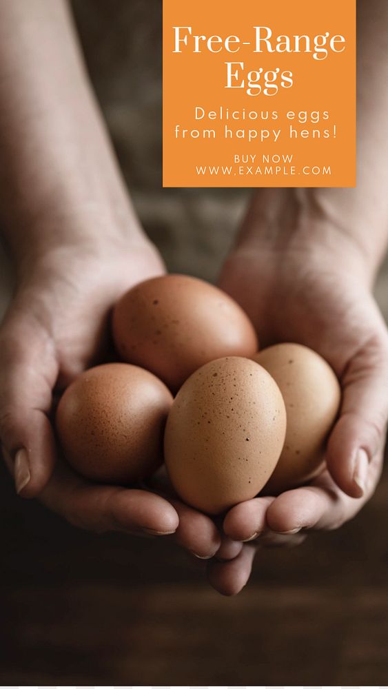 Free-range eggs  Instagram story template, editable text