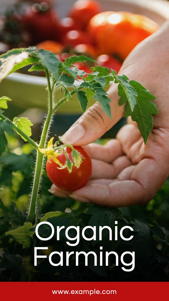 Organic farming Facebook story template, editable design