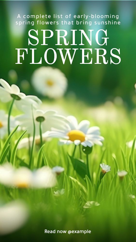 Spring flowers Instagram story template, editable text