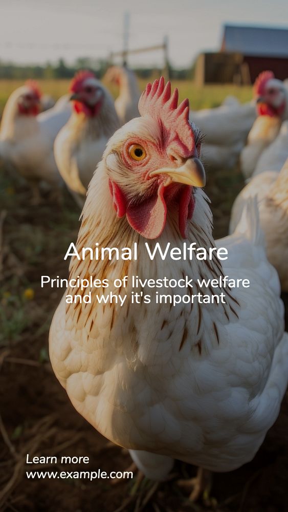 Animal welfare Instagram story template, editable text