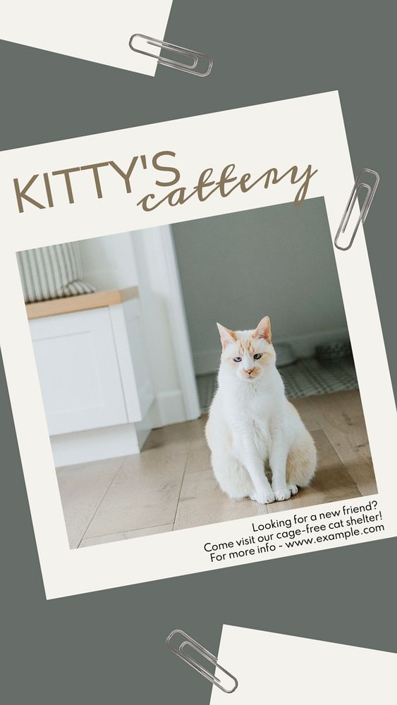 Cattery & shelter Instagram story template, editable text