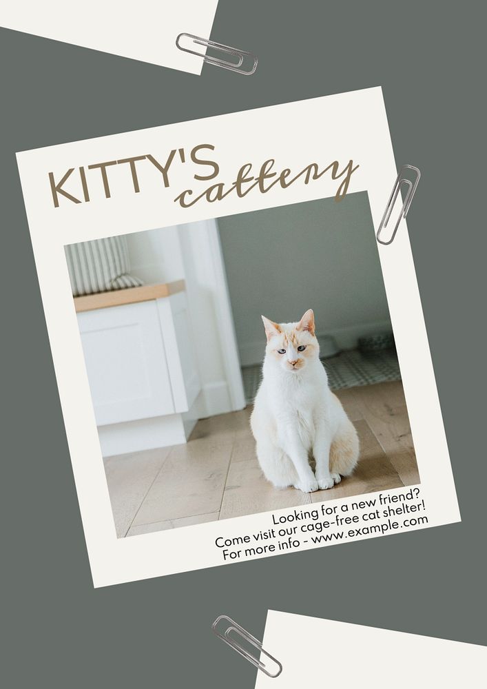 Cattery & shelter poster template, editable text and design