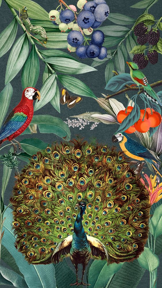 Exotic peacock iPhone wallpaper, vintage | Premium Editable Design