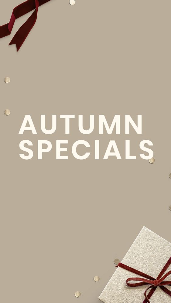 Autumn specials Instagram story template