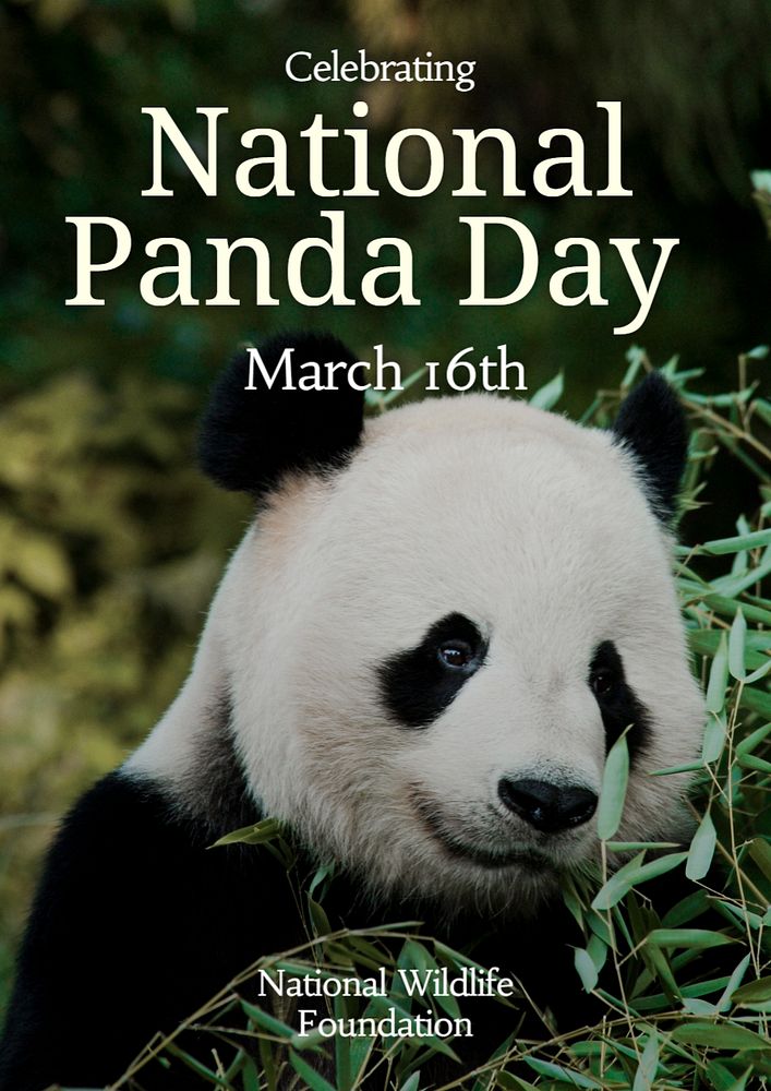 National Panda Day poster template