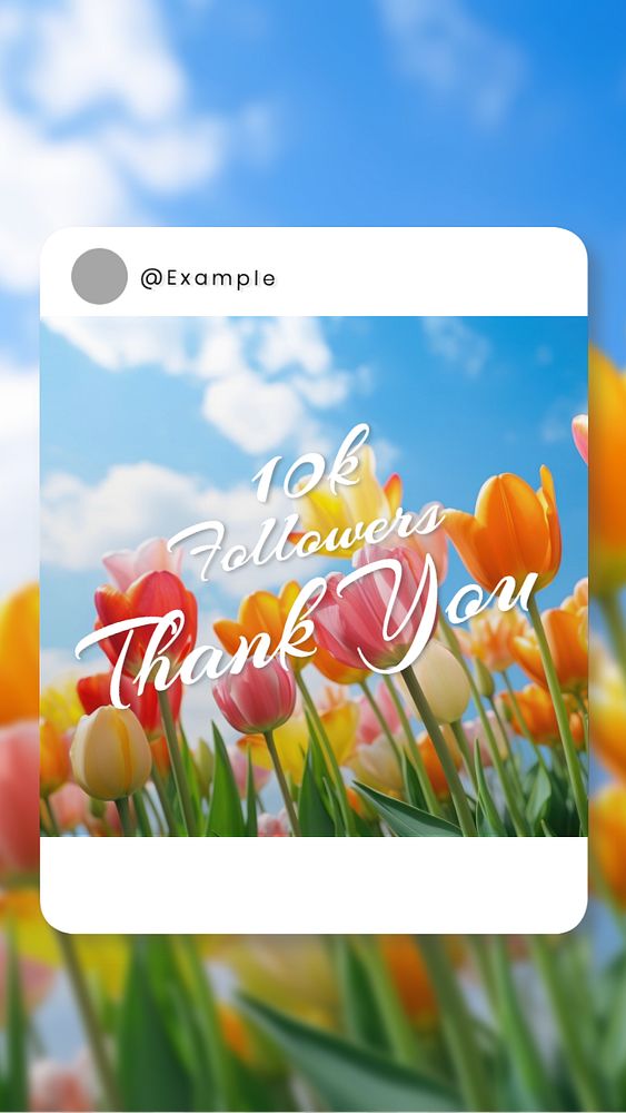 Thank you followers Instagram story template