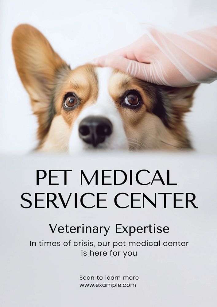 Pet medical service poster template