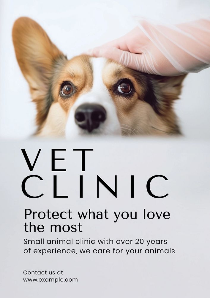 Vet clinic poster template