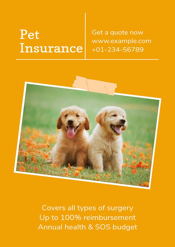 Pet insurance poster template, editable text & design