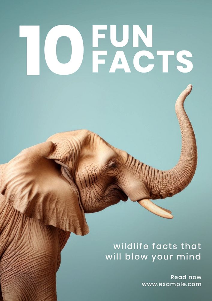 Fun facts poster template