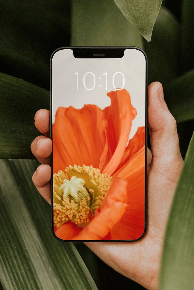 Phone screen mockup, botanical design 