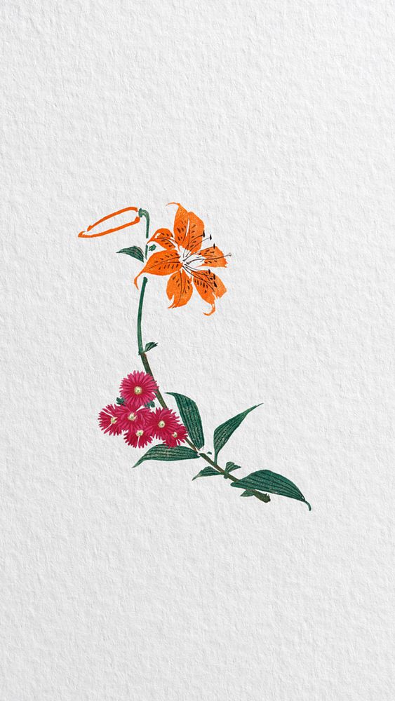 Tiger lily flower iPhone wallpaper, vintage illustration. Remixed by rawpixel.